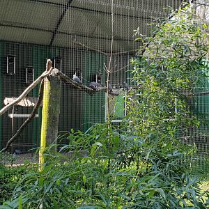 ( Almost ) 50 shades of grey