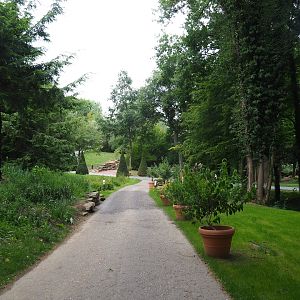 View in the park (Aug 28th, 2018)