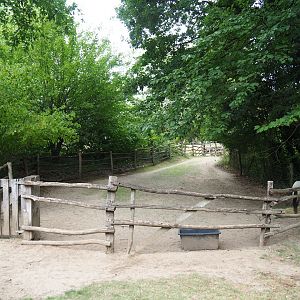 Another pony paddock (Aug 28th, 2018)