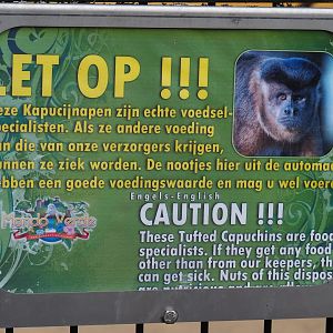 Sign on feeding of the tufted capuchins (Aug 28th, 2018)
