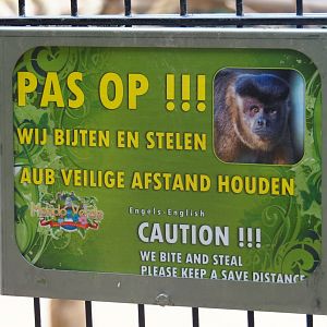 Caution we bite and steal sign (Aug 28th, 2018)