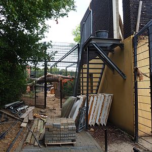 Construction of new Sri Lankan leopard exhibit (Aug 28th, 2018)