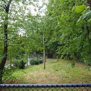 Emu paddock (Aug 28th, 2018)