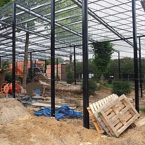 Construction of new Sri Lankan leopard exhibits (Aug 28th, 2018)