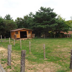 Rickety goat yard (Aug 28th, 2018)