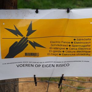 Feed at your own risk - Electric fence sign (Aug 28th, 2018)