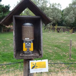 Goat pellet dispenser (Aug 28th, 2018)