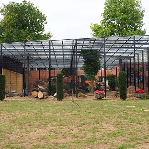 Construction site new Sri Lankan leopard exhibits (Aug 28th, 2018)