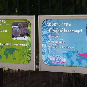 Signs Common crane - Cape Barren goose (Aug 28th, 2018)