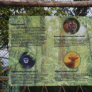 Asian jungle species sign (Aug 28th, 2018)