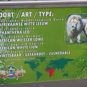 Sign white lion (Aug 28th, 2018)