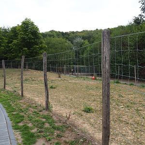 Another pony paddock (Aug 28th, 2018)