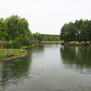 Pond (Aug 28th, 2018)