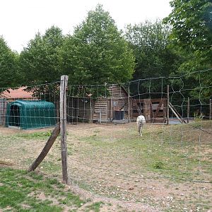 Another pony paddock (Aug 28th, 2018)