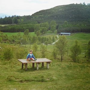 View of main reserve at Highland Wildlife Park - circa 1989