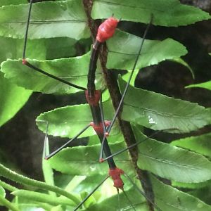 Can somebody identify