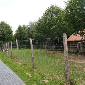 Yet one more pony paddock (Aug 28th, 2018)