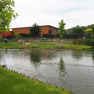 Pond and Lion/Tiger house (Aug 28th, 2018)