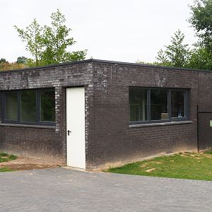 Ring-tailed lemur and lar gibbon house (Aug 28th, 2018)