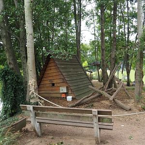 Ring-tailed lemur walkthrough exhibit (Aug 28th, 2018)