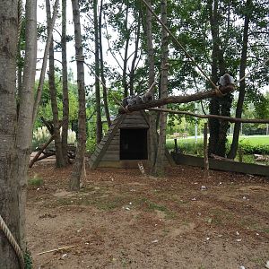 Ring-tailed lemur walkthrough exhibit (Aug 28th, 2018)