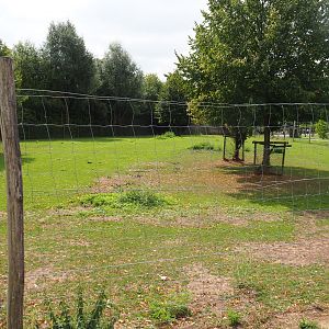 Pony paddock (Aug 28th, 2018)