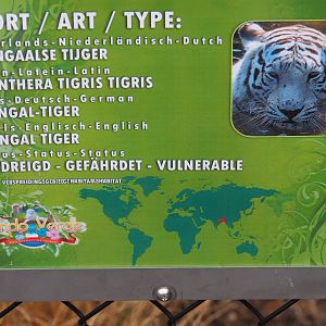 Incorrect tiger sign (Aug 28th, 2018)