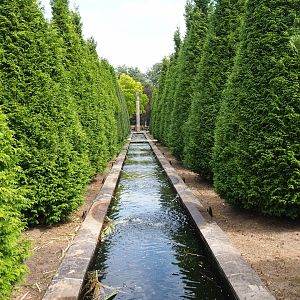 Cypress gallery (Aug 28th, 2018)