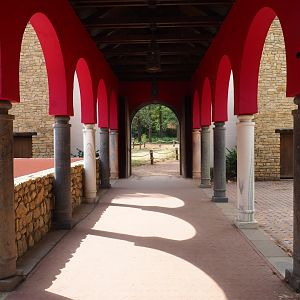 Indian crested porcupine viewing area (Aug 28th, 2018)