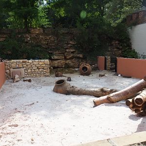 Indian crested porcupine viewing area (Aug 28th, 2018)