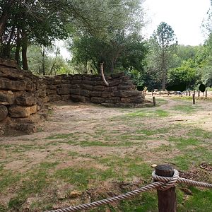 Bactrian camel paddock (Aug 28th, 2018)