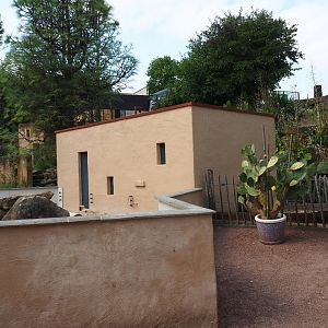 Meerkat exhibit and Meerkat - Sulcata tortoise house (Aug 28th, 2018)