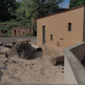 Meerkat exhibit (Aug 28th, 2018)