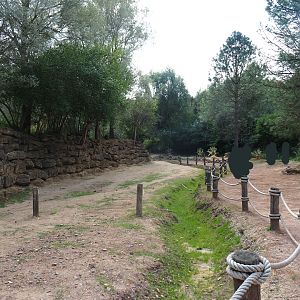 Bactrian camel paddock (Aug 28th, 2018)