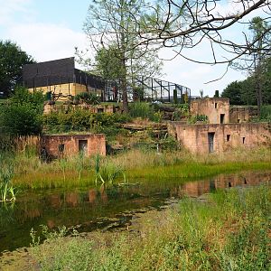 View in Moroccan area (Aug 28th, 2018)