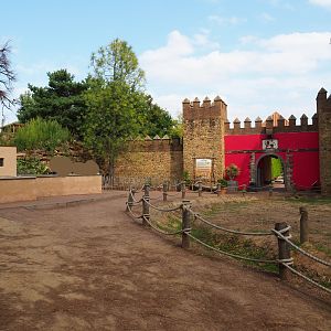 With the tufted capuchin exhibit and the leopard exhibit on top of the hill.