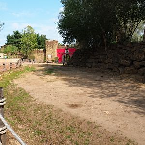 Bactrian camel padddock (Aug 28th, 2018)