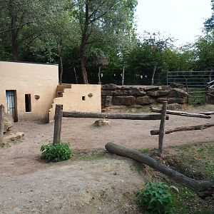 Bactrian camel padddock (Aug 28th, 2018)