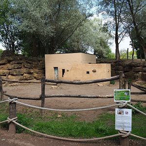 Bactrian camel padddock (Aug 28th, 2018)