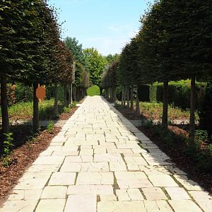 English landscaped gardens (Aug 28th, 2018)