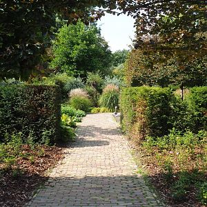 English landscaped gardens (Aug 28th, 2018)