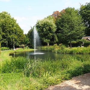 English garden pond (Aug 28th, 2018)