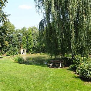 English gardens pond (Aug 28th, 2018)