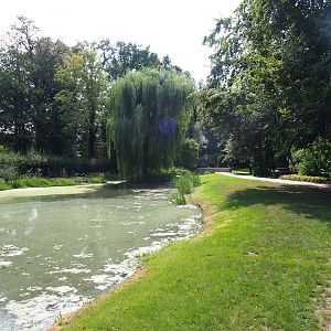 Park view with English gardens pond (Aug 28th, 2018)