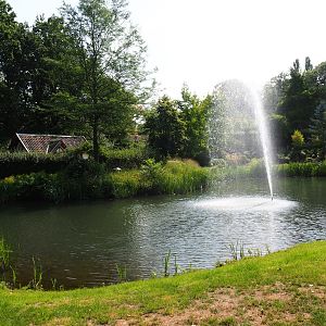 English gardens pond (Aug 28th, 2018)