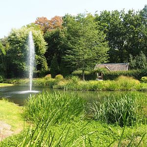 English gardens pond (Aug 28th, 2018)