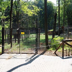 Hudson Bay wolf exhibit (Aug 28th, 2018)