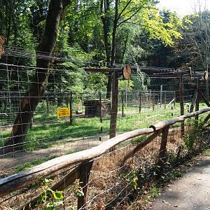 Hudson Bay wolf exhibit (Aug 28th, 2018)