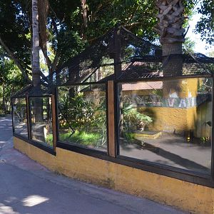 American Alligator Enclosure at Selwo Aventura, 13/03/19