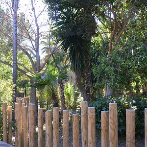 Cassowary Enclosure at Selwo Aventura, 13/03/19